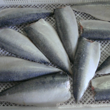 Frozen Scomber Japonicus Pacific Mackerel Fillets Cena